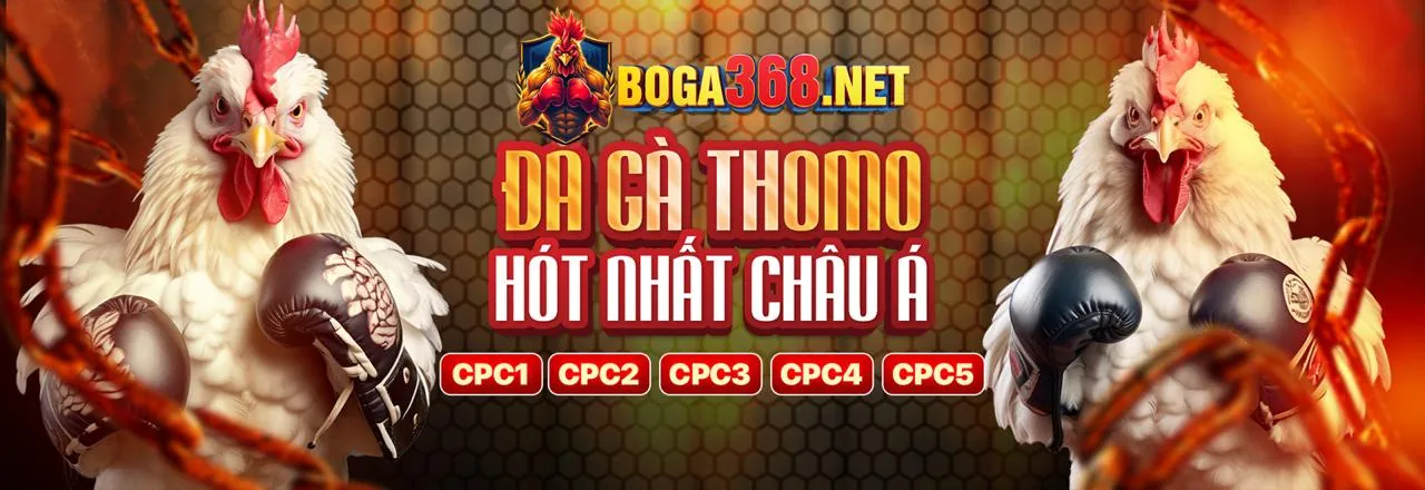 Các công cụ quản lý cá cược có trách nhiệm